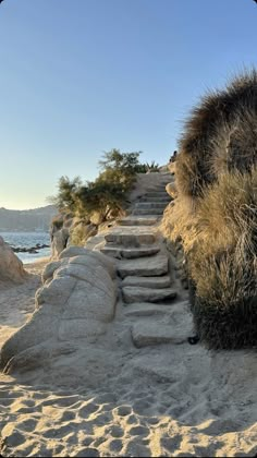 the path to the beach is lined with rocks and plants