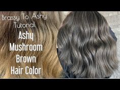 Brassy To Ashy Tutorial | Ashy MUSHROOM Brown Hair Color - YouTube Brown On Dark Hair, Mushroom Hair Color With Highlights, Hair Color Mushroom Brown, Ashy Mushroom Brown Hair, Ash Brown Hair Color Ideas, Toning Bleached Hair, Mushroom Brown Hair Color, Ashy Brown Hair