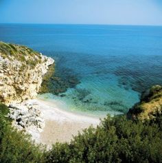 the beach is surrounded by trees and blue water