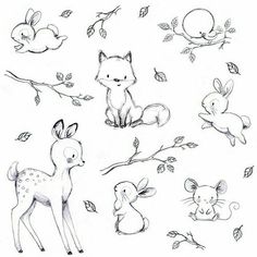 some drawings of animals and birds on a white background