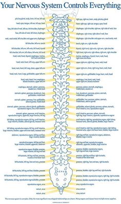 Pars Defect, Massage Anatomy, Spine Anatomy, Nervus Vagus, Aaron Lewis, Physical Wellbeing, Tens Machine, Basic Anatomy And Physiology, Health Disease