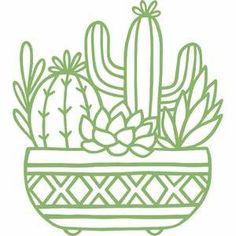 a cactus in a pot filled with cacti and succulents on a white background