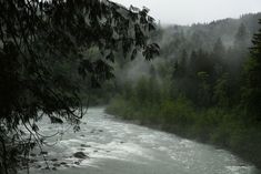 a river running through a forest filled with lots of green trees and foggy skies