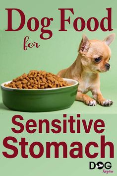 Best Dog Foods With Sensitive Stomachs Homemade Dog Food For Digestive Problems, Dog Food For Sensitive Stomachs, Homemade Dog Food For Sensitive Stomachs, Food Recipes For Dogs, Food For Sensitive Stomach, Low Fat Dog Food, Recipes For Dogs, Cook Dog Food