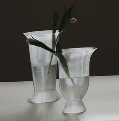 two glass vases with flowers in them on a white table top, one is empty and the other has green leaves