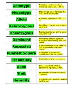 the table has different types of words and numbers on it, including one for each word