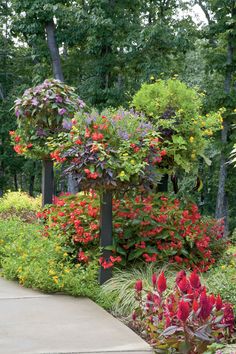 a garden with lots of colorful flowers and trees