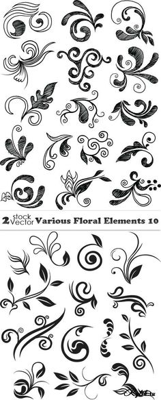 the different types of flowers and swirls are shown in this graphic file, which is also