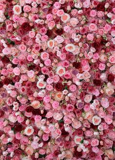 many pink and red flowers are arranged in the shape of a flower arrangement on display