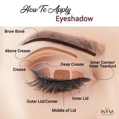 Professional Makeup Gold Eye Makeup Step By Step, Eyeshadow Techniques Step By Step, Different Eye Shadow Styles, Eye Makeup Theory, Hooded Eye Makeup Guide, Makeup Theory Book, How To Apply Eye Shadow To Hooded Eyes Makeup Tutorials, Beaution Course, Partially Hooded Eye Makeup Tutorial