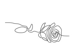 a single continuous line drawing of a rose