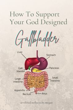 How to Support Your Gall Bladder — Refined Wellness Causes Of Gallbladder Stones, Gaul Bladder Diet, Gallbladder Healing Diet, Gall Bladder Flush, Holistic Healing Gallbladder, Gallbladder Relief Remedies, Supplements For Gallbladder Health, Gull Bladder Cleanse, Chinese Medicine Gallbladder