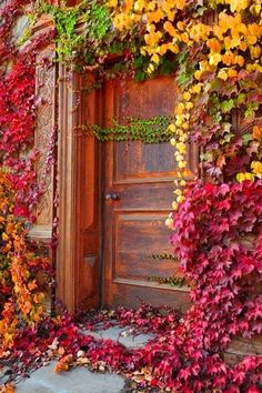 an old wooden door surrounded by vines and autumn colored leaves in front of a building