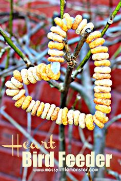 a bird feeder hanging from a tree branch with the words heart in front of it