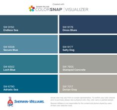 the color scheme for colorsnap visualizer is shown in blue and gray, with different