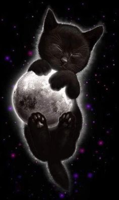 a black cat is sitting on the moon with its paws hanging off it's back