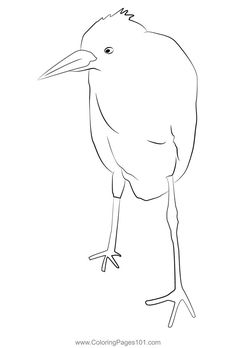 a black and white drawing of a bird