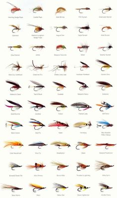 the different types of fishing flies are shown in this image, and each fly has an individual