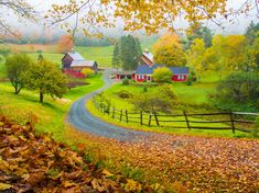 a rural country road surrounded by trees and houses in the fall season with leaves on the ground