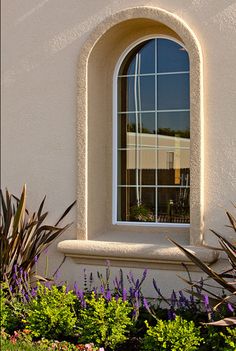 an arched window in a white stucco building with purple and green plants around the windows