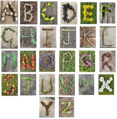 the letters are made out of plants and flowers on the ground in different shapes, sizes, and colors