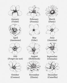 flowers are shown in black and white with the names of them on each one side