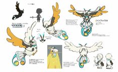 an image of some type of bird with different wings and body parts in various poses