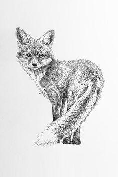 a black and white drawing of a fox