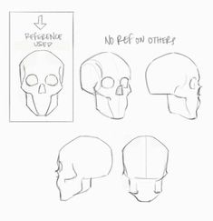 four different types of skulls with the words'no pet on others'written above them