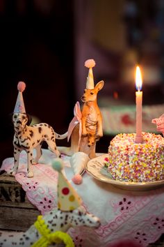 a birthday cake with two dogs and one candle