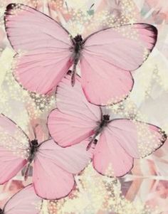 four pink butterflies flying in the air with flowers around them on a floral background that looks like fabric