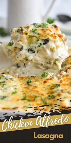 chicken alfredo lasagna on a white plate with a black and yellow border around it