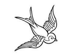 a bird flying in the sky with its wings spread out and it is black and white