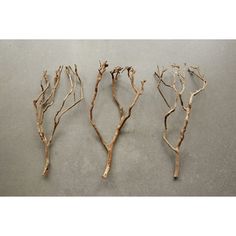 three pieces of driftwood sitting on top of a gray floor next to each other