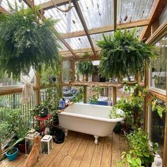 a bath tub sitting on top of a wooden floor next to potted plants in a greenhouse