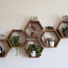 several hexagonal shelves with plants and figurines on them against a white wall