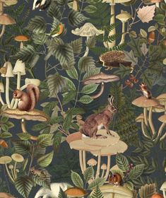 a wallpaper with many different types of animals and plants on it's surface