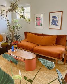 a living room filled with furniture and plants