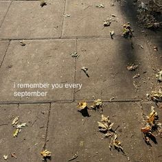 an empty sidewalk with leaves on it and the words i remember you every