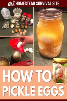 how to pickle eggs in a jar with the words, how to pickle eggs