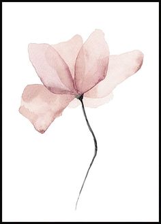 a watercolor painting of a pink flower on a white background with the petals still attached