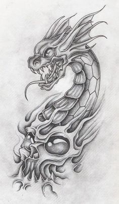 a drawing of a dragon with flames on it's back and head in the air