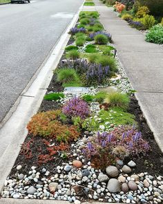 a long row of rocks and plants along the side of a road in front of a house