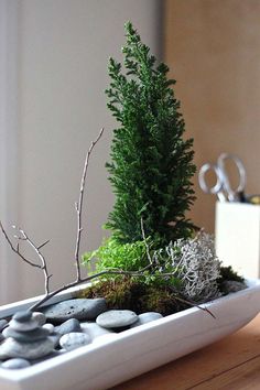 a white bowl filled with rocks and plants