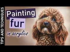 a dog with the words painting fur in acrylics on it's face