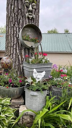 several buckets with plants growing out of them in front of a tree