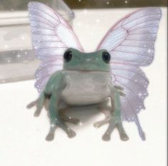 a frog with wings sitting on top of a white table next to a glass window