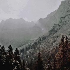 the mountains are covered with snow and trees in the foreground is a foggy sky