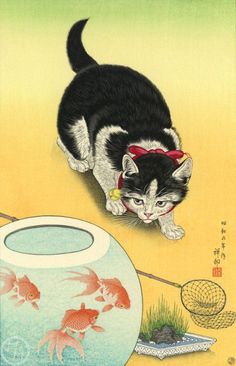 a black and white cat standing next to a fish bowl with goldfish in it