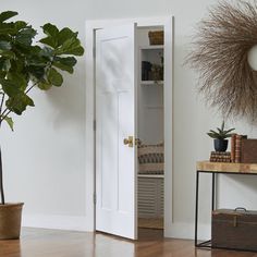 a room with a potted plant and an open door